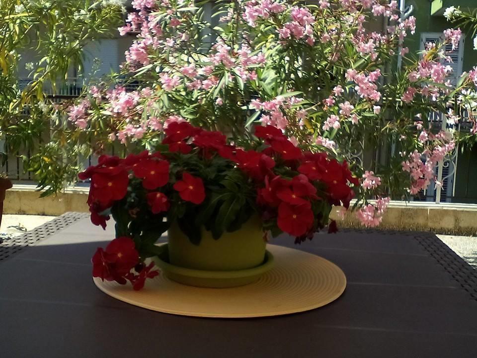Il Terrazzo Di Oleandri Appartement Bagheria Kamer foto