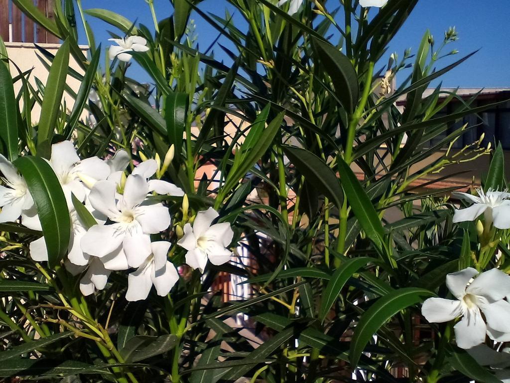 Il Terrazzo Di Oleandri Appartement Bagheria Kamer foto